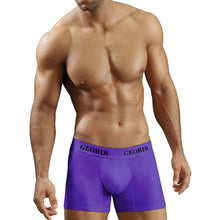 Load image into Gallery viewer, Geordi 5172 Men&#39;s Boxer Briefs - Pal Negocio
